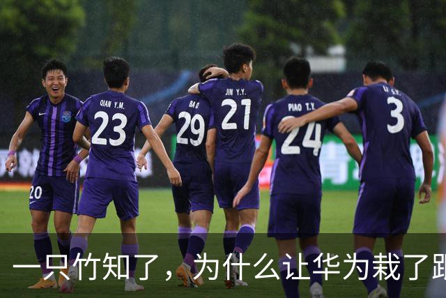 一只竹知了，为什么让华为栽了跟头？