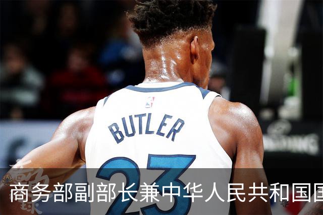 商务部副部长兼中华人民共和国国际贸易谈判副代表凌激会见德国敦豪集团首席执行官麦韬远