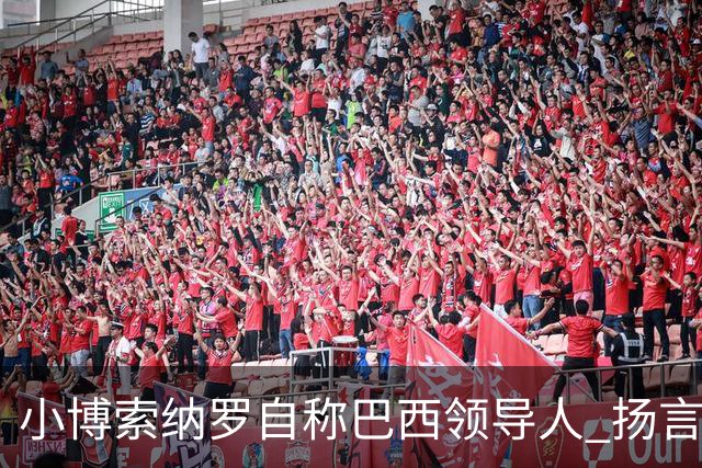 小博索纳罗自称"巴西领导人" 扬言反对卢拉政府