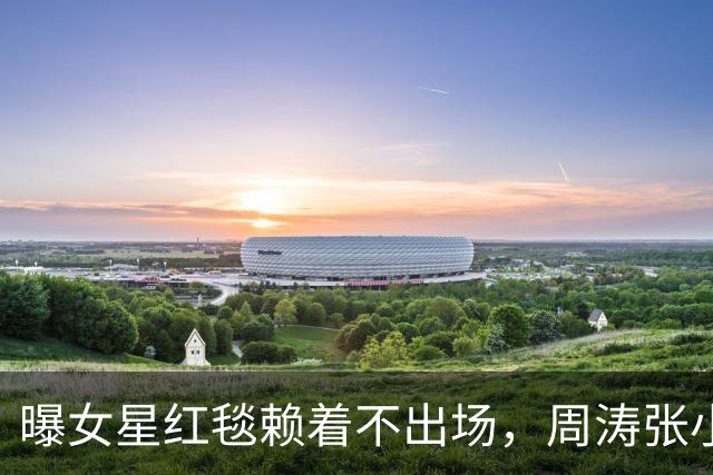 曝女星红毯赖着不出场，周涛张小斐无奈救场，晚宴全程无人搭理她