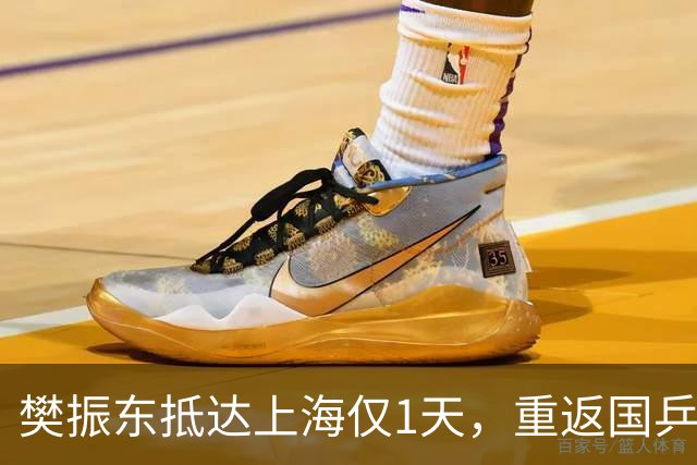 樊振东抵达上海仅1天，重返国乒争议再起，王励勤的话有人信了