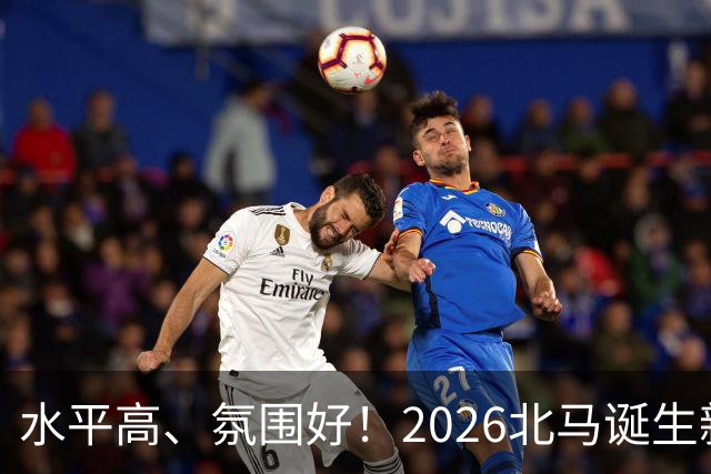 水平高、氛围好！2026北马诞生新纪录，赛事组织获选手认可