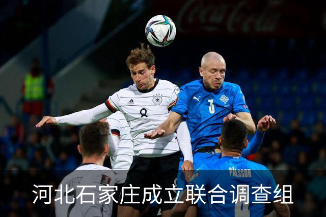 河北石家庄成立联合调查组