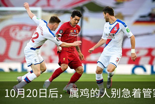10月20日后，属鸡的人别急着管家里的事