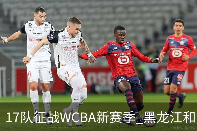 17队征战WCBA新赛季 黑龙江和大体协女篮缺席